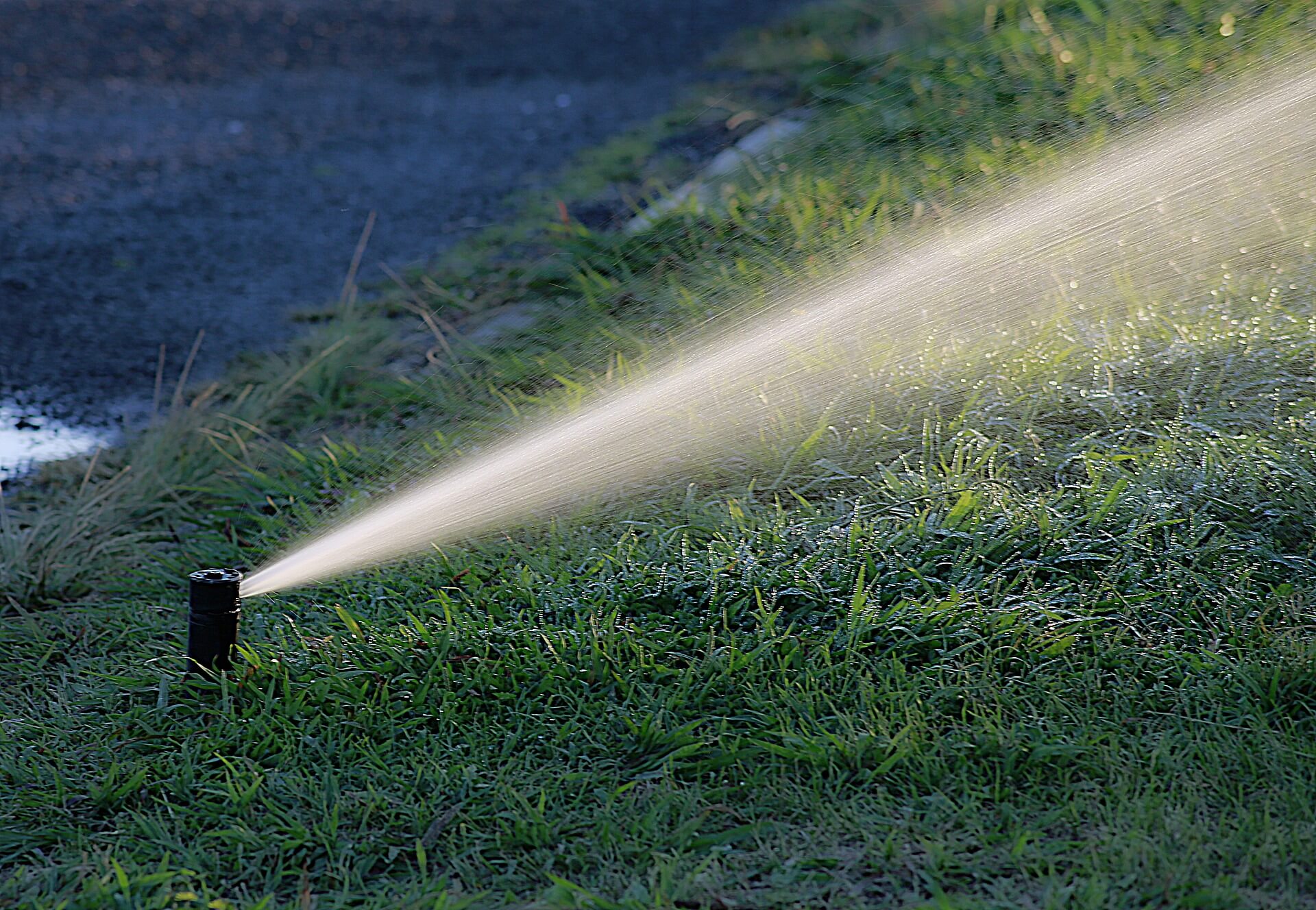 How to Water Your Lawn