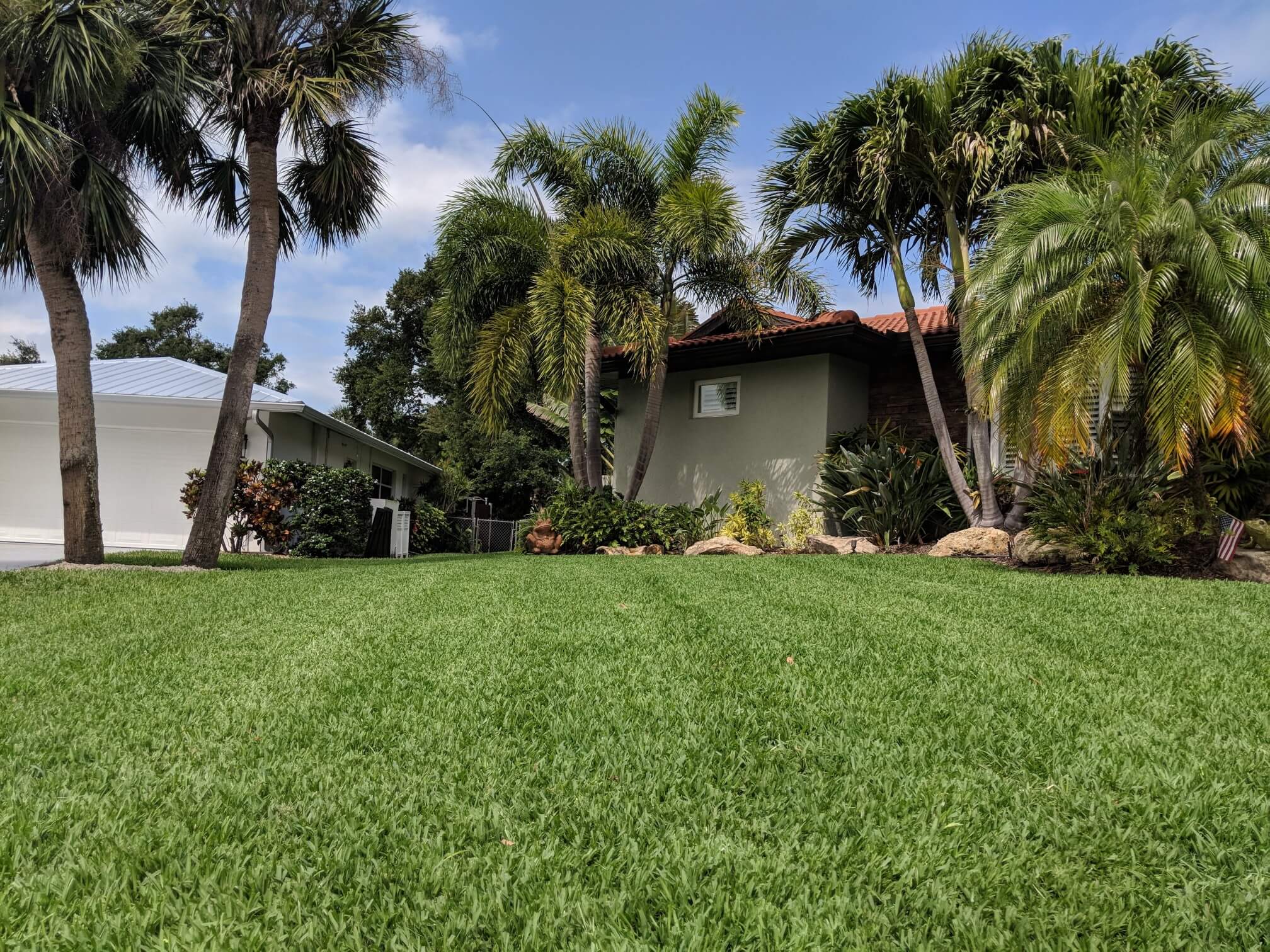 Sarasota’s Lawn Care Basics