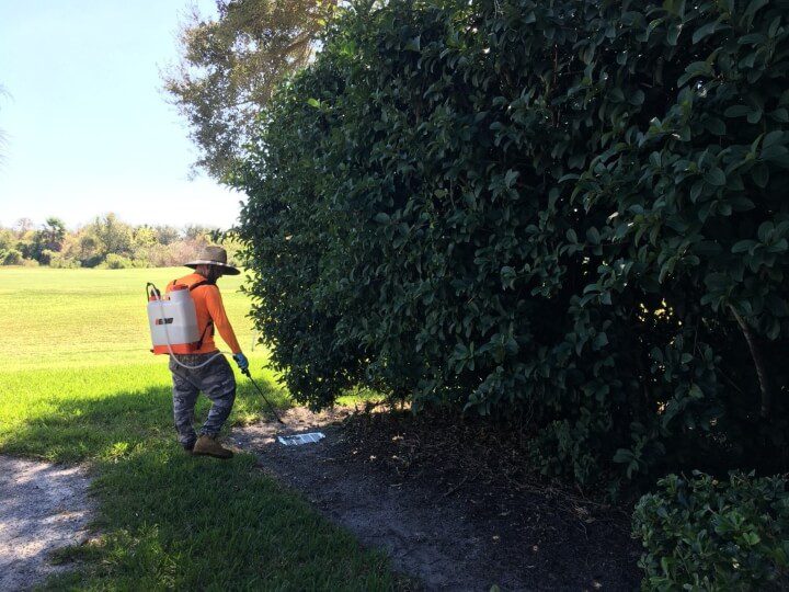 G&G Garden and Lawn Care Landscaping Siesta Key FL, Weed Control