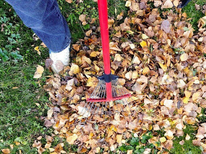 G&G Garden and Lawn Care Landscaping Sarasota FL
