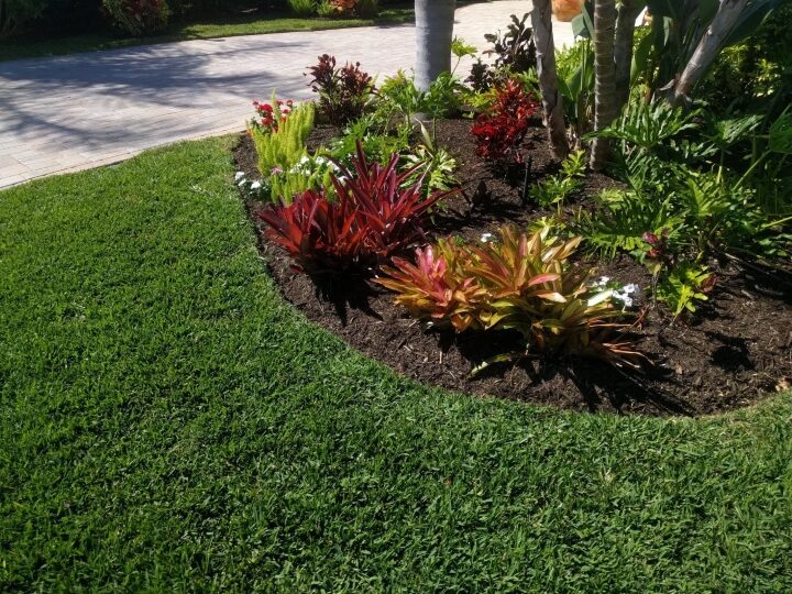 G&G Garden and Lawn Care Landscaping Sarasota FL